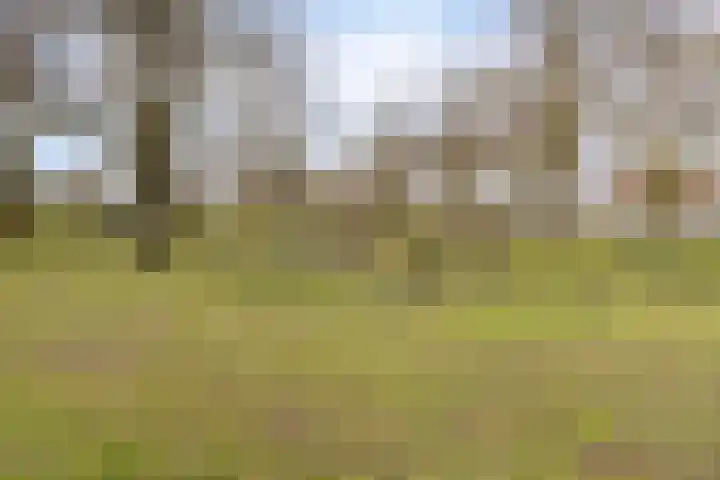 Kottendijk 125 Enschede thumbnail 35