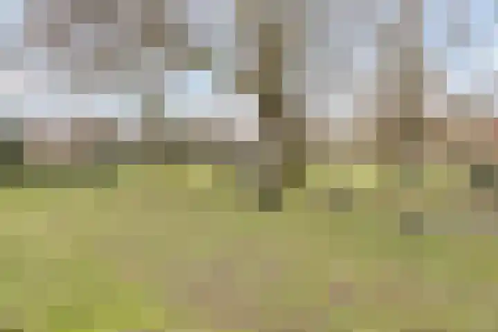 Kottendijk 125 Enschede thumbnail 36
