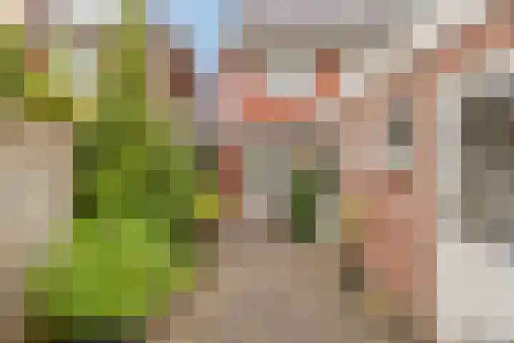 Kottendijk 175 Enschede thumbnail 30