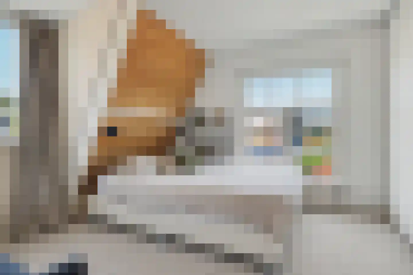 Kottendijk 190 Enschede thumbnail 19