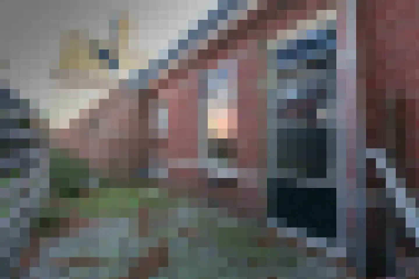 Kottenseweg 128 Winterswijk Brinkheurne thumbnail 26