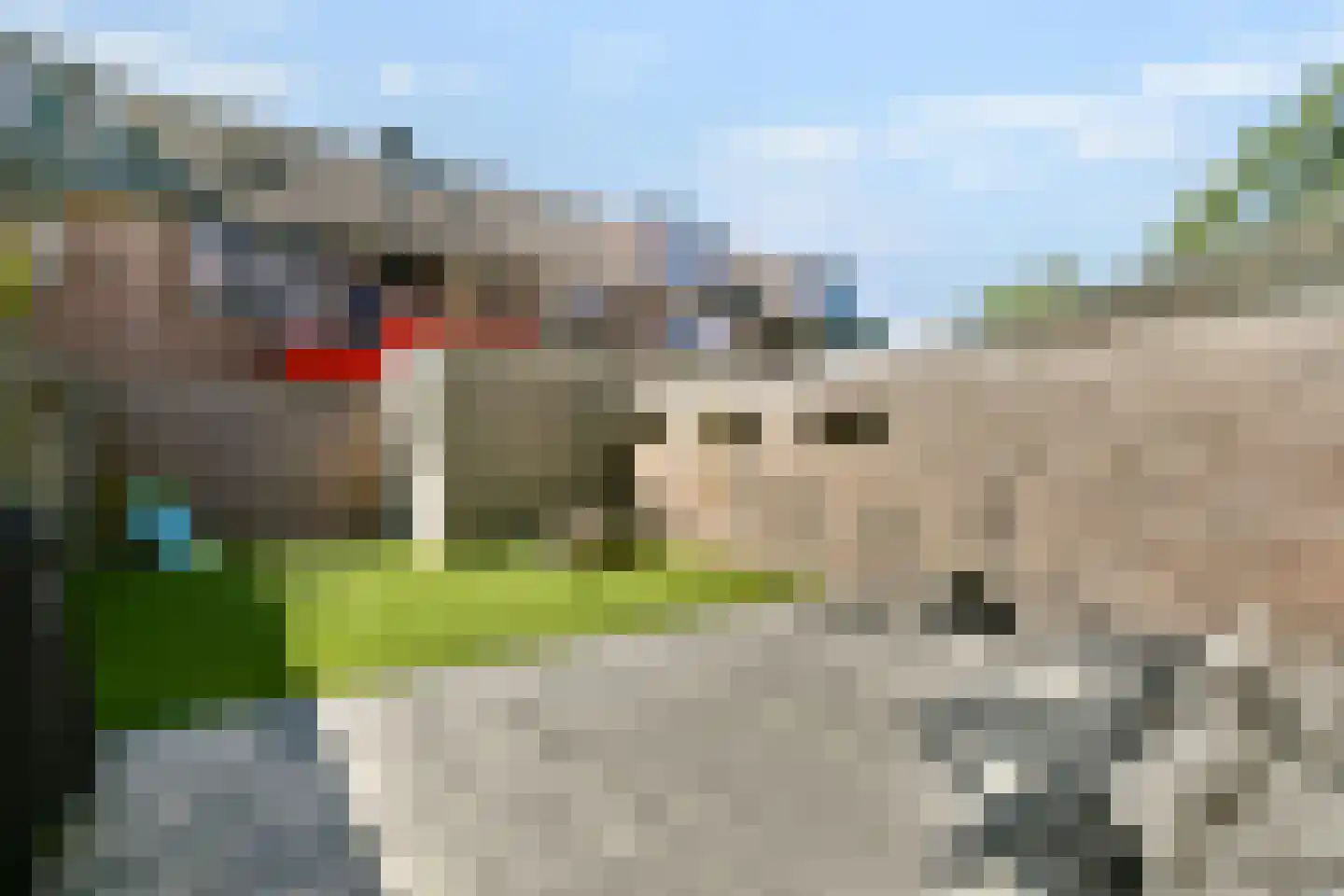 Kotter 13 Amstelveen thumbnail 10