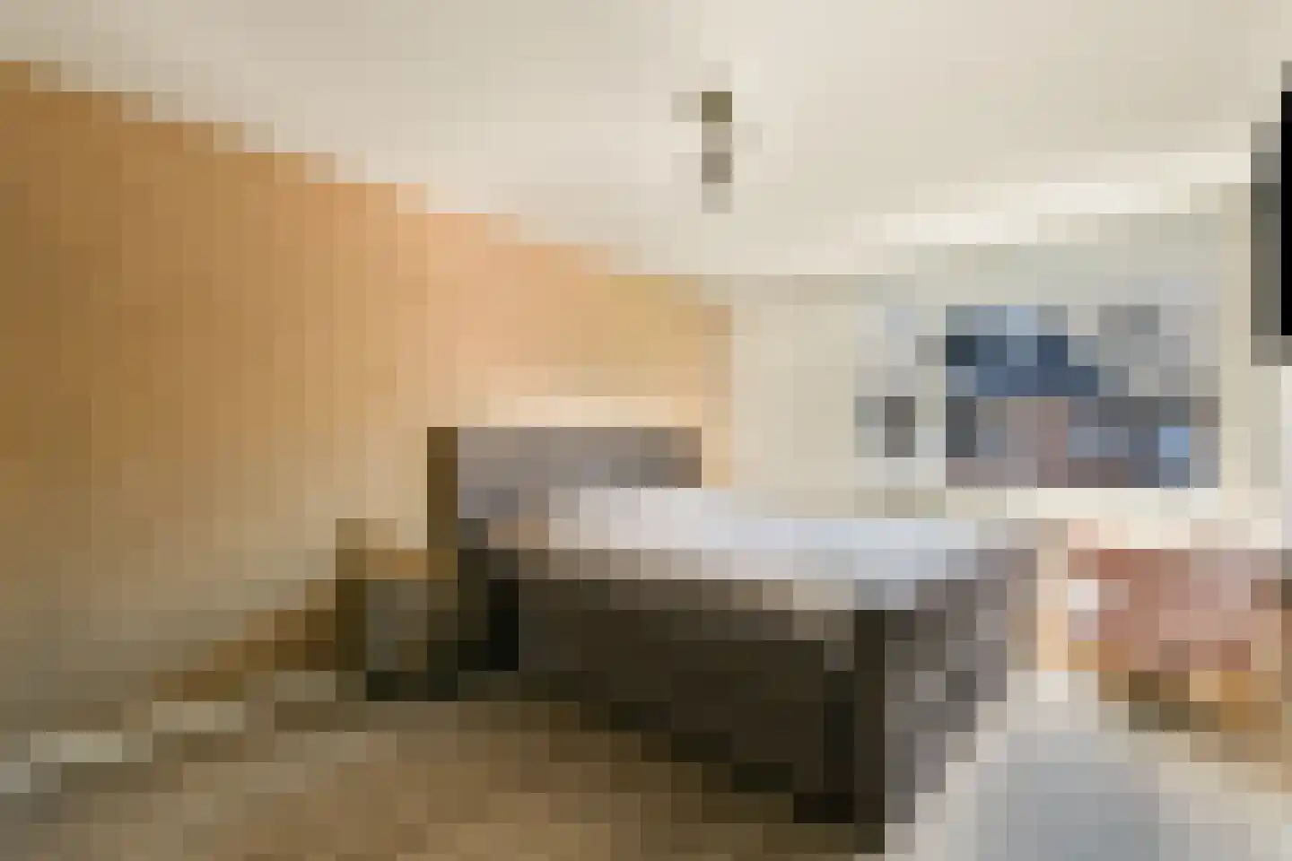 Kotter 13 Amstelveen thumbnail 15