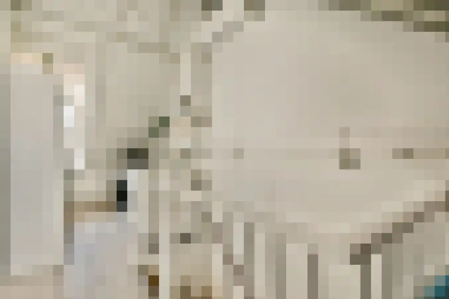 Kotter 13 Amstelveen thumbnail 23