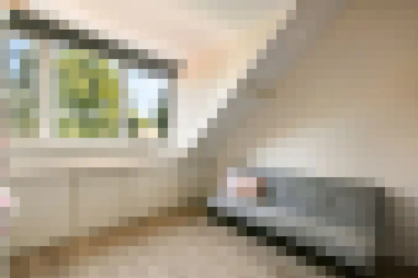 Kotter 13 Amstelveen thumbnail 25