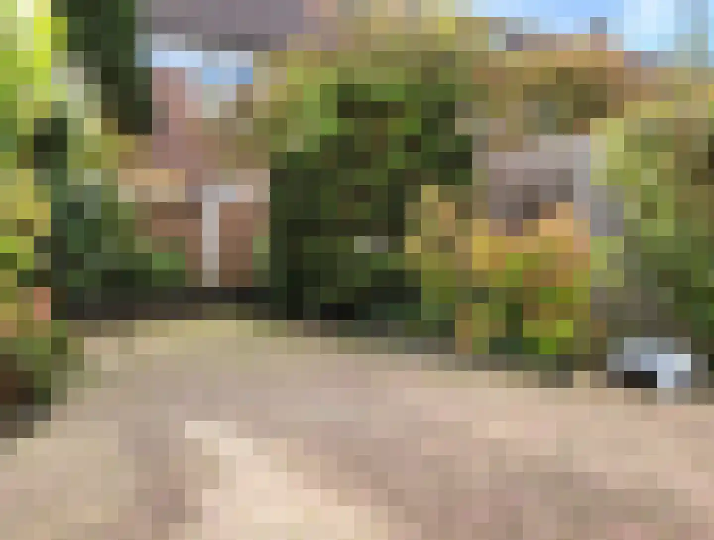 Kotter 14 Amstelveen thumbnail 10