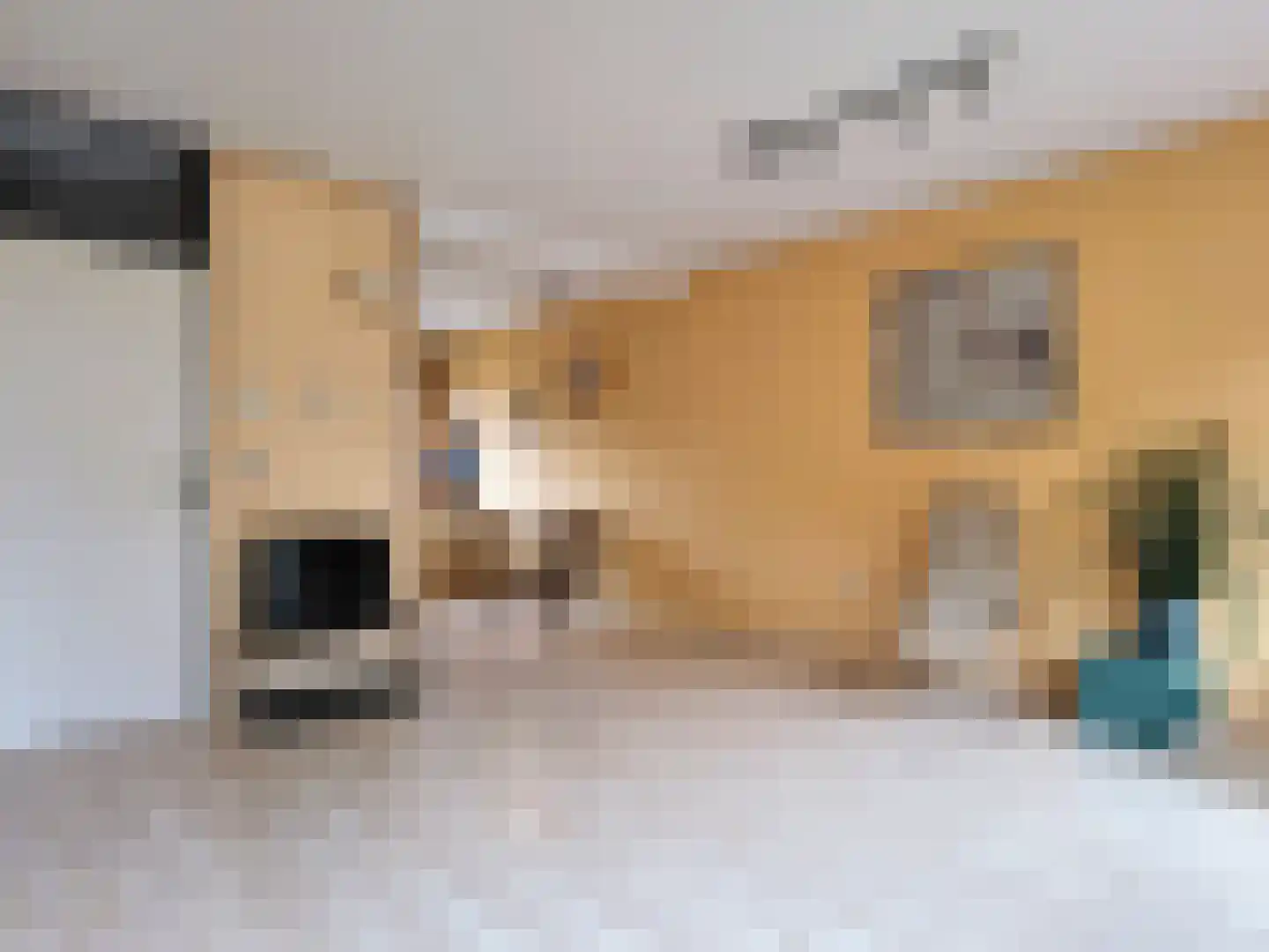 Kotter 14 Amstelveen thumbnail 4