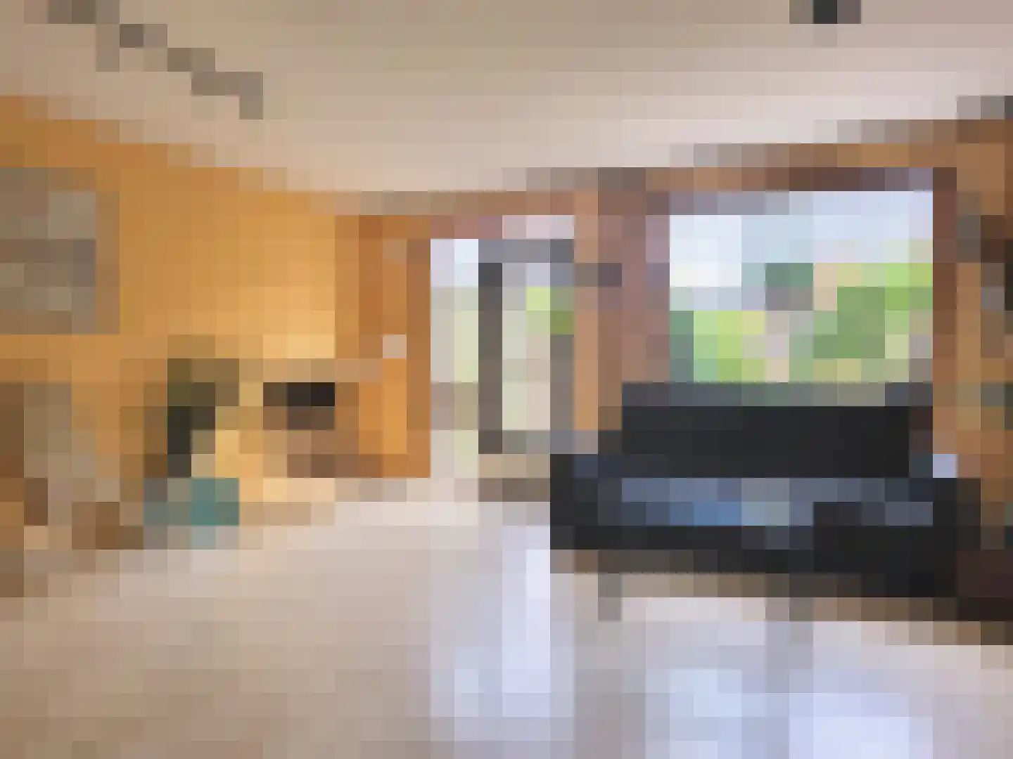 Kotter 14 Amstelveen thumbnail 7