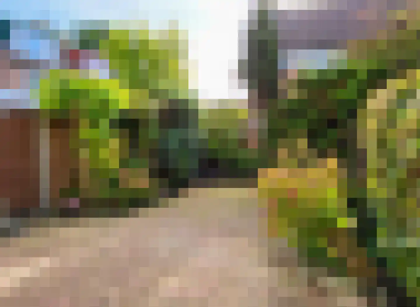 Kotter 14 Amstelveen thumbnail 9