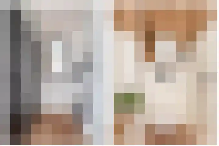 Kotter 15 Brielle thumbnail 15