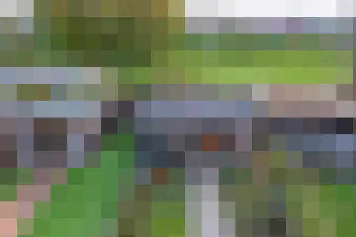Kotter 15 Brielle thumbnail 35
