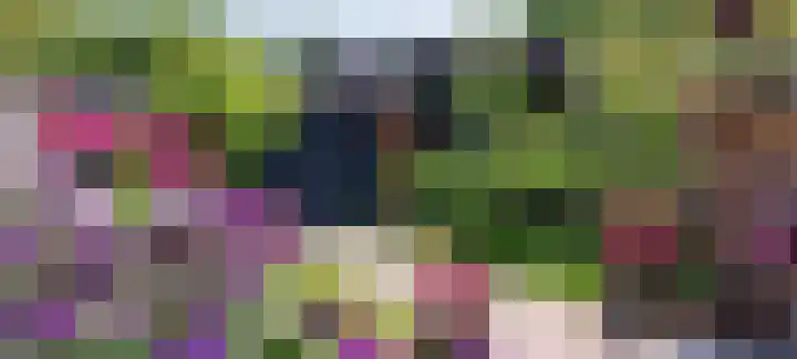 Kotter 15 Brielle thumbnail 40
