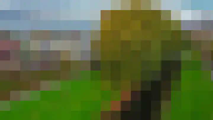 Kotter 15 Brielle thumbnail 47