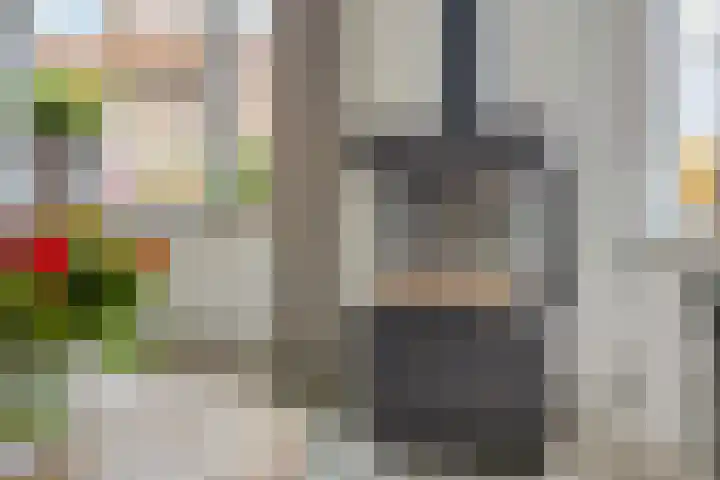 Kotter 15 Meppel thumbnail 10