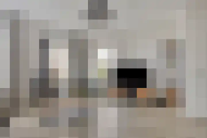 Kotter 15 Meppel thumbnail 11