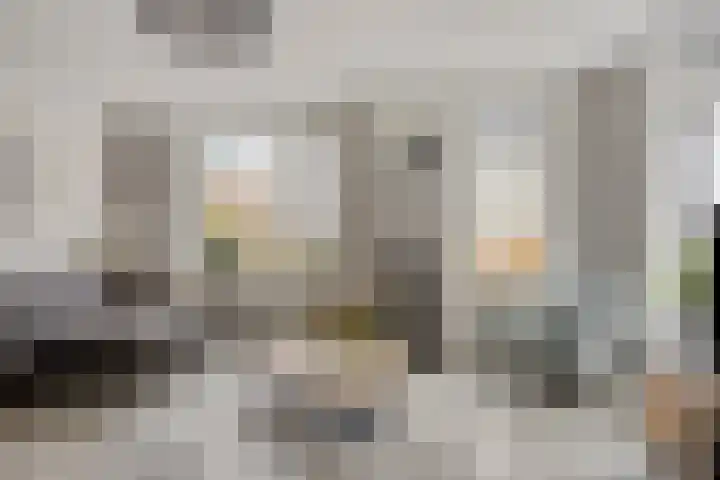 Kotter 15 Meppel thumbnail 12
