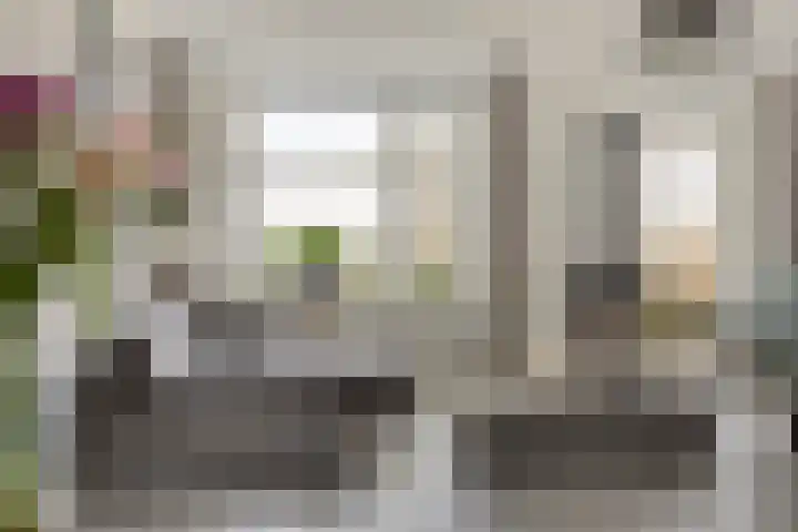 Kotter 15 Meppel thumbnail 14