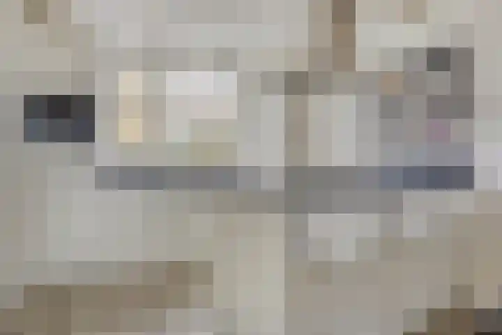 Kotter 15 Meppel thumbnail 15