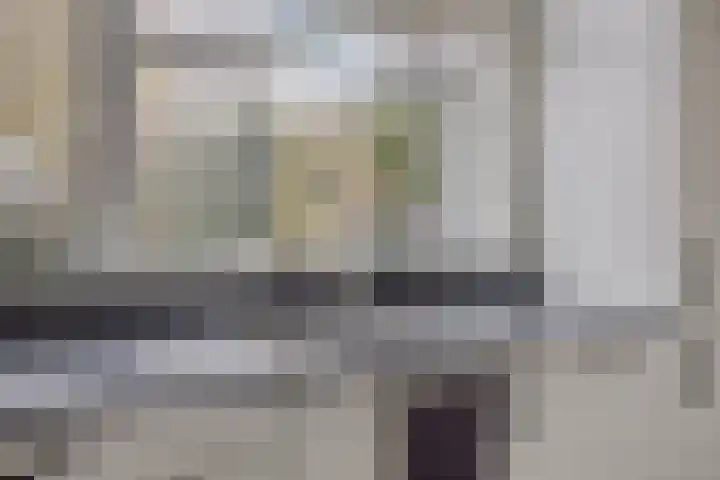 Kotter 15 Meppel thumbnail 16