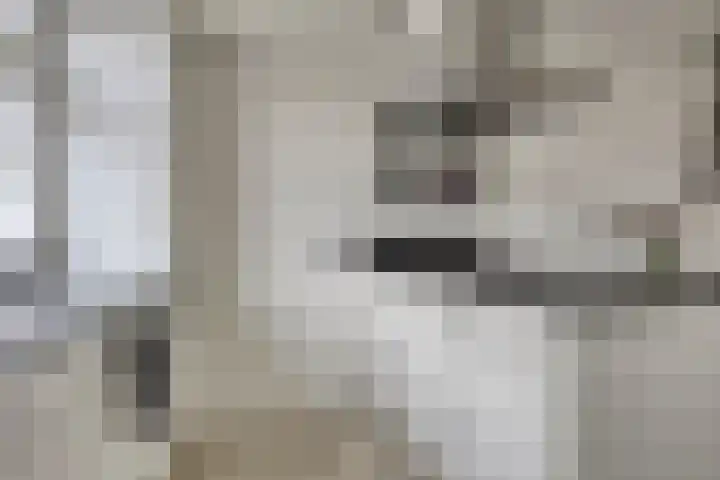 Kotter 15 Meppel thumbnail 17
