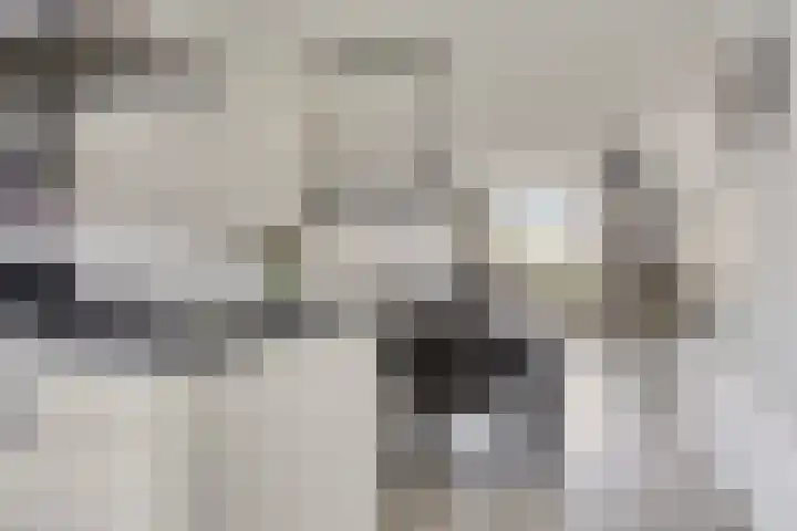 Kotter 15 Meppel thumbnail 18