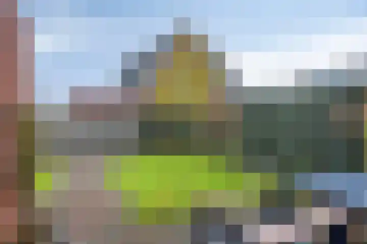 Kotter 15 Meppel thumbnail 32