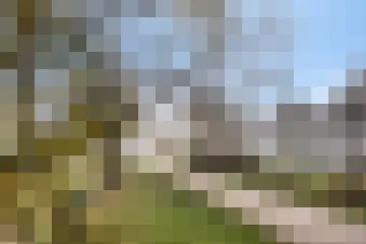 Kotter 15 Meppel thumbnail 34