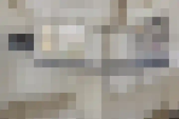 Kotter 15 Meppel thumbnail 4