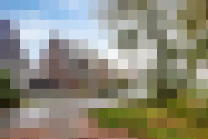 Kotter 15 Meppel thumbnail 6