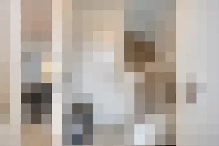 Kotter 15 Meppel thumbnail 8