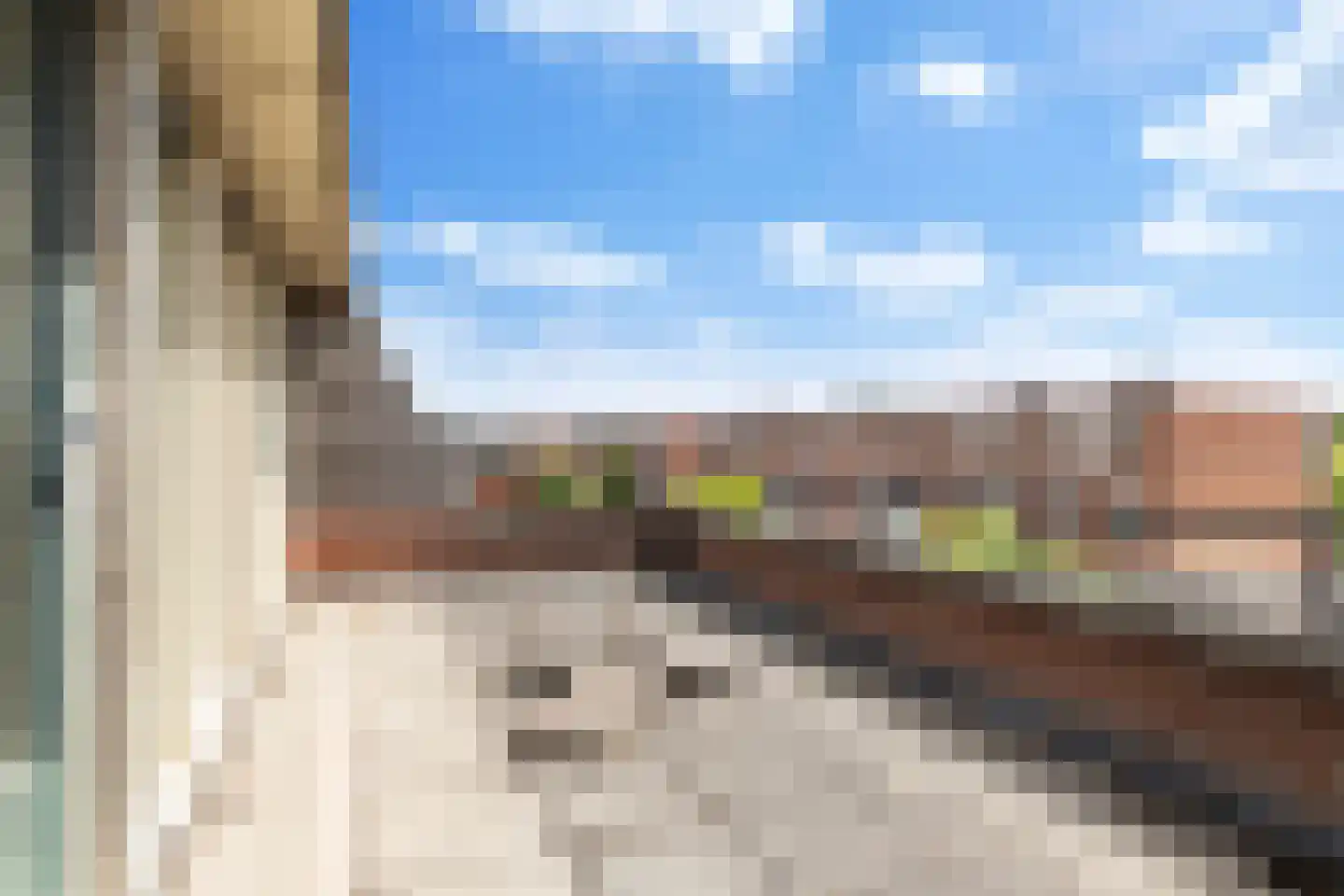Kotter 18 Nijkerk thumbnail 26