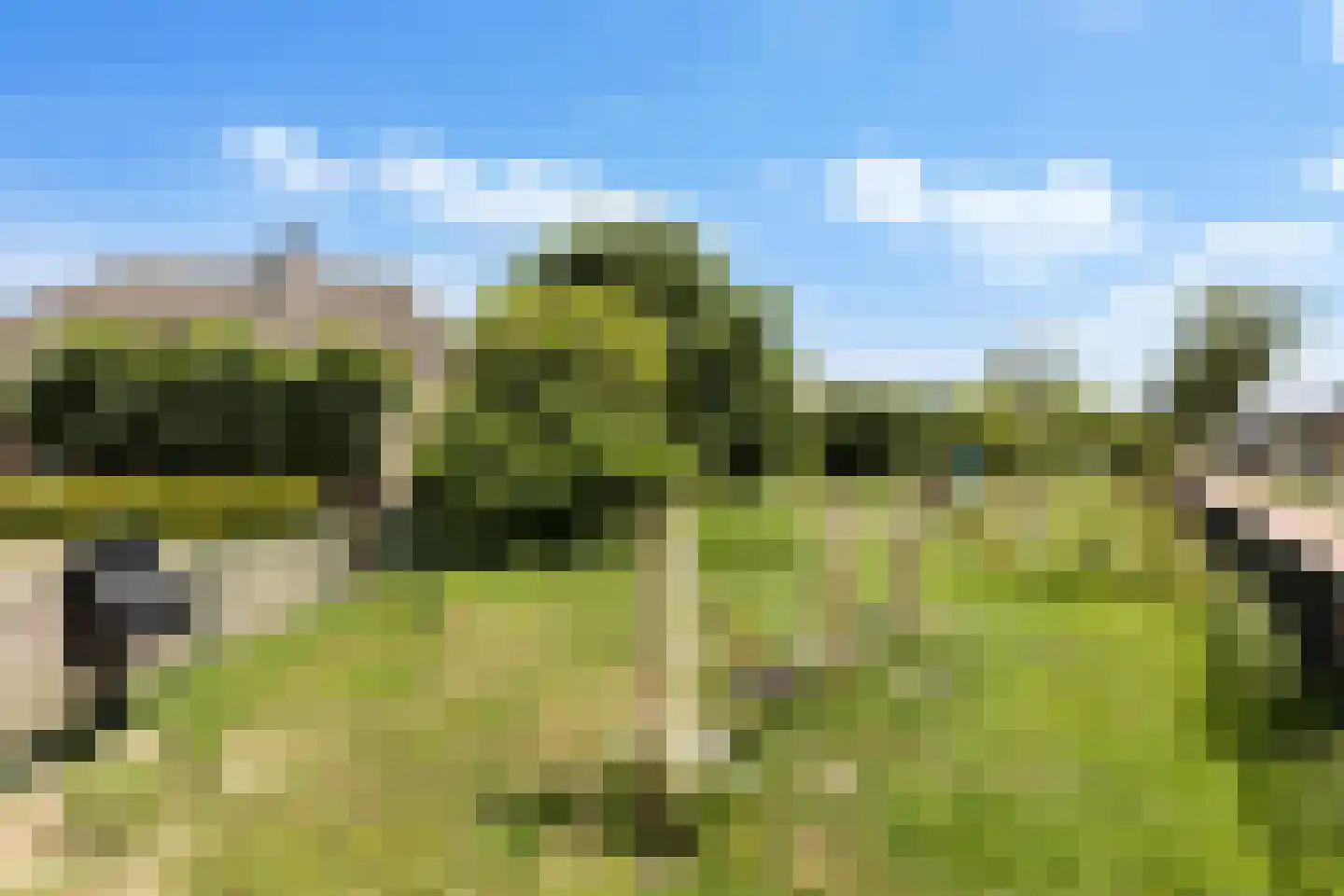 Kotter 18 Nijkerk thumbnail 33