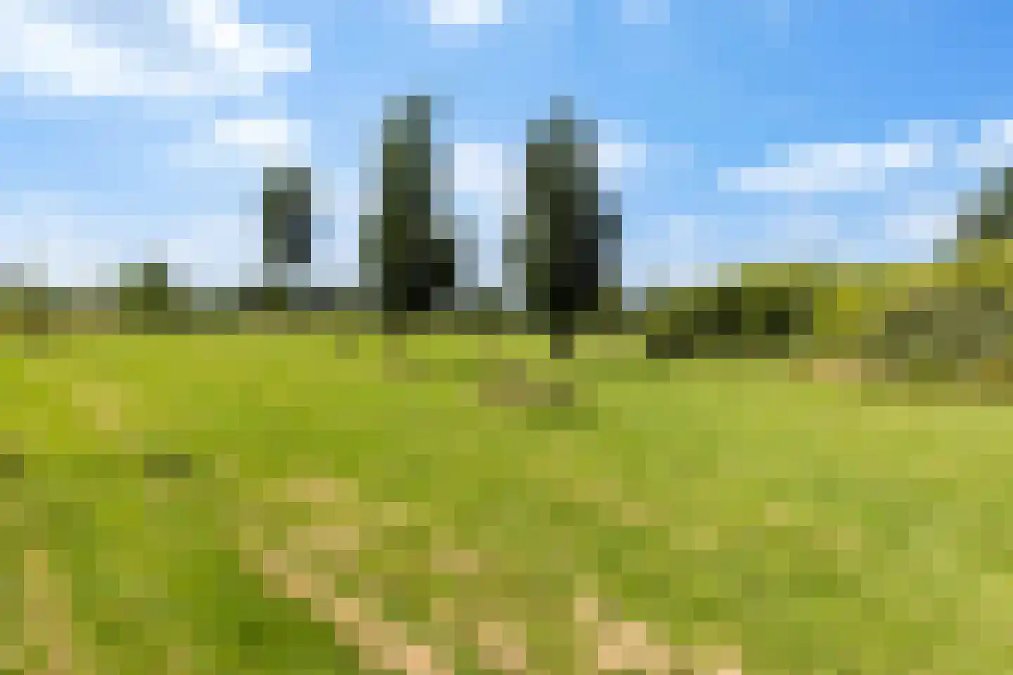 Kotter 18 Nijkerk thumbnail 35