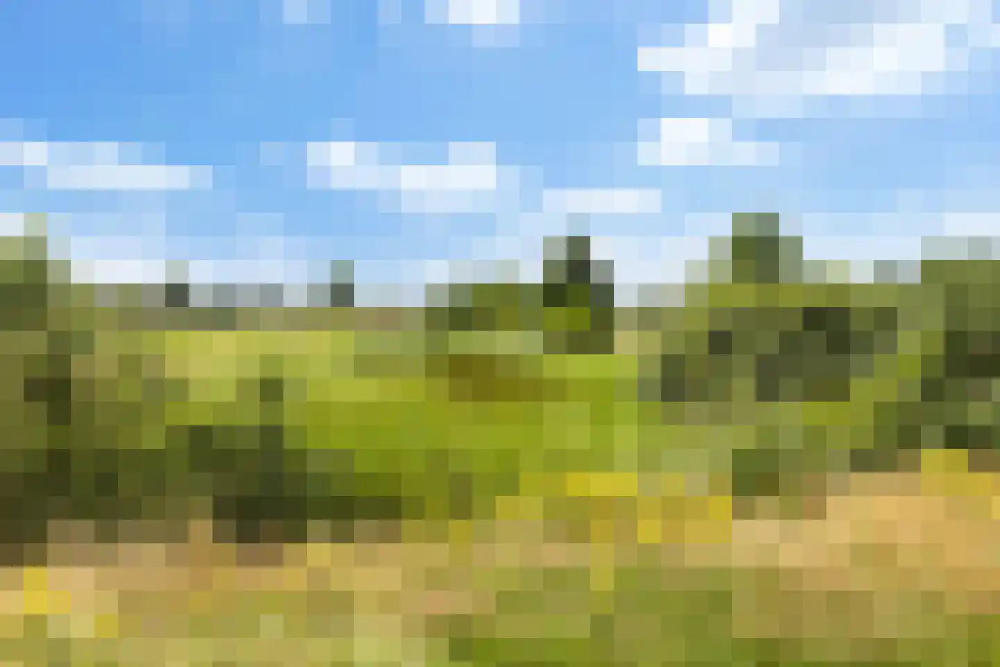 Kotter 18 Nijkerk thumbnail 36