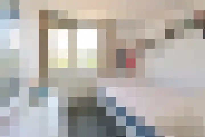 Kotter 26 Huizen thumbnail 10
