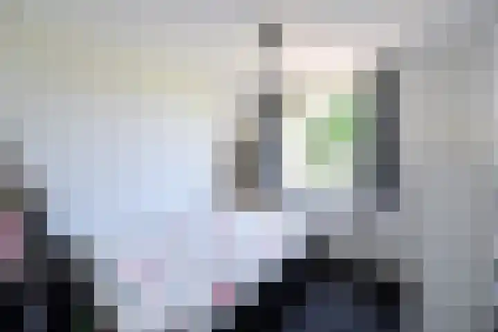 Kotter 26 Huizen thumbnail 12