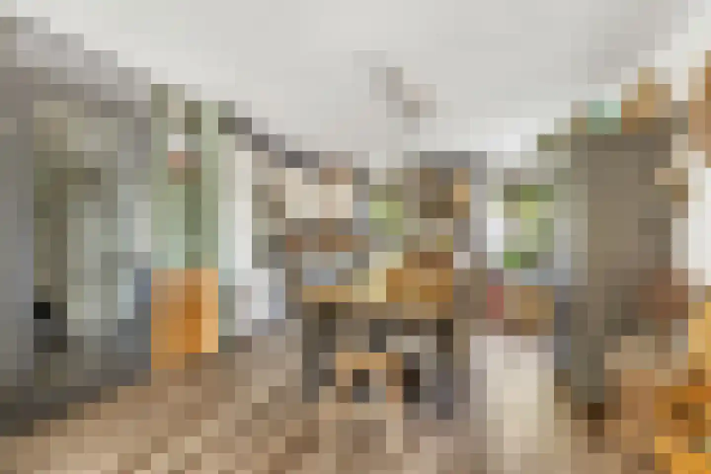 Kotter 26 Nijkerk thumbnail 10