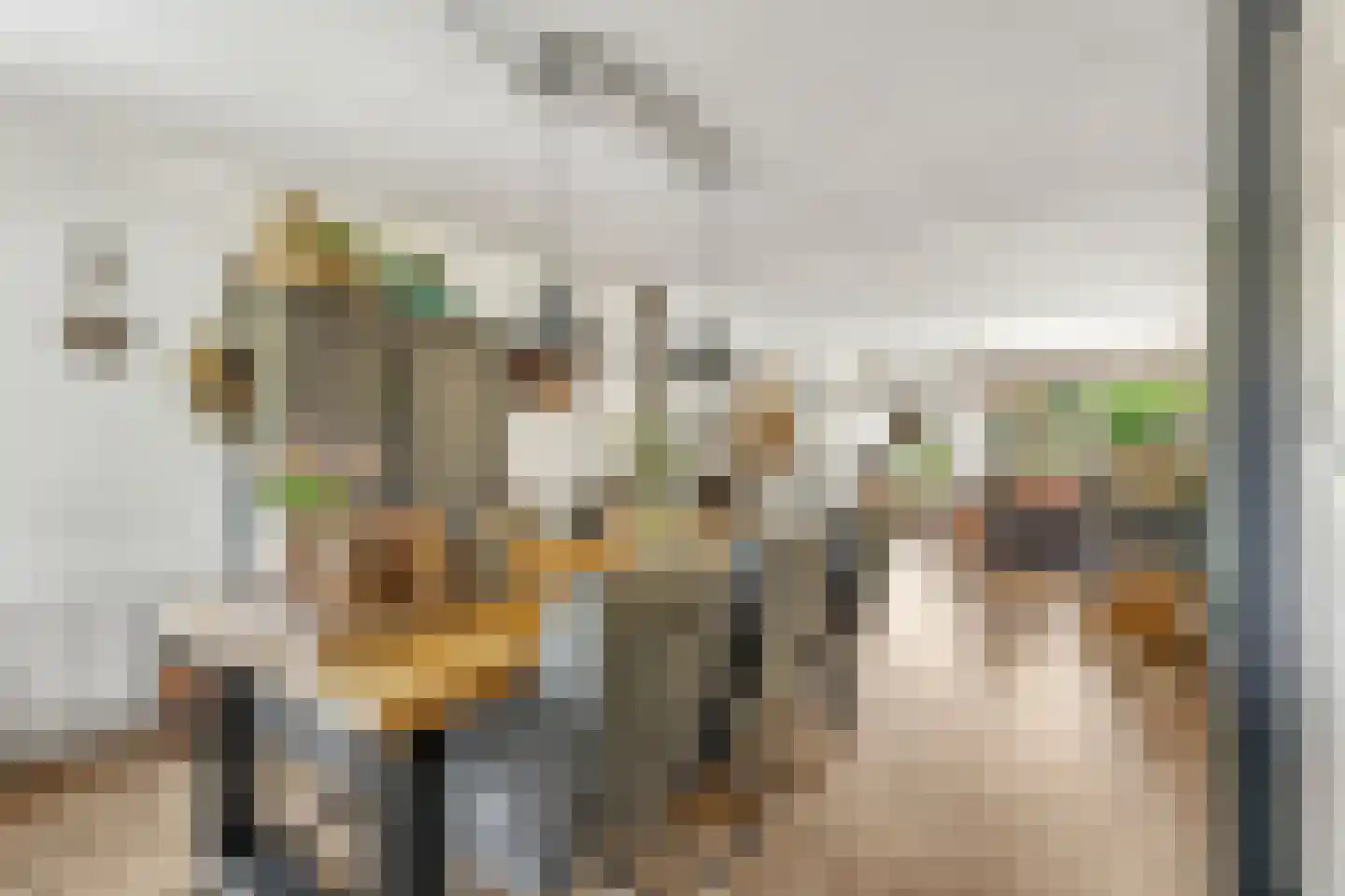 Kotter 26 Nijkerk thumbnail 11