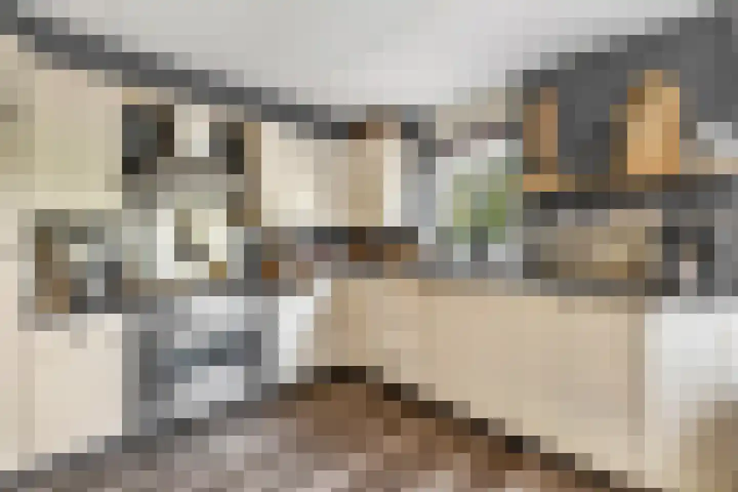 Kotter 26 Nijkerk thumbnail 13