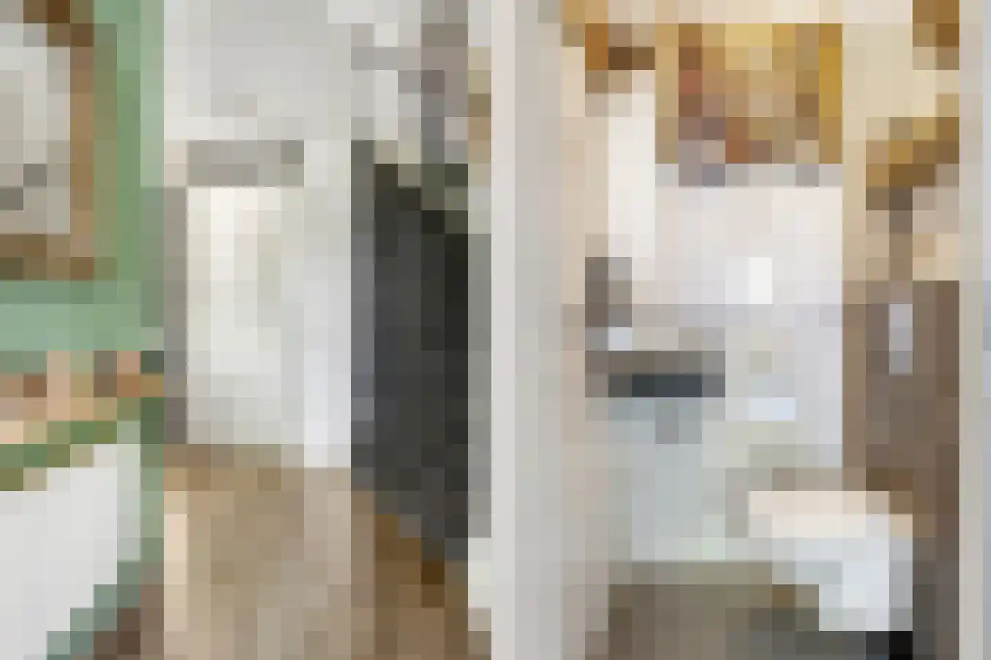 Kotter 26 Nijkerk thumbnail 15