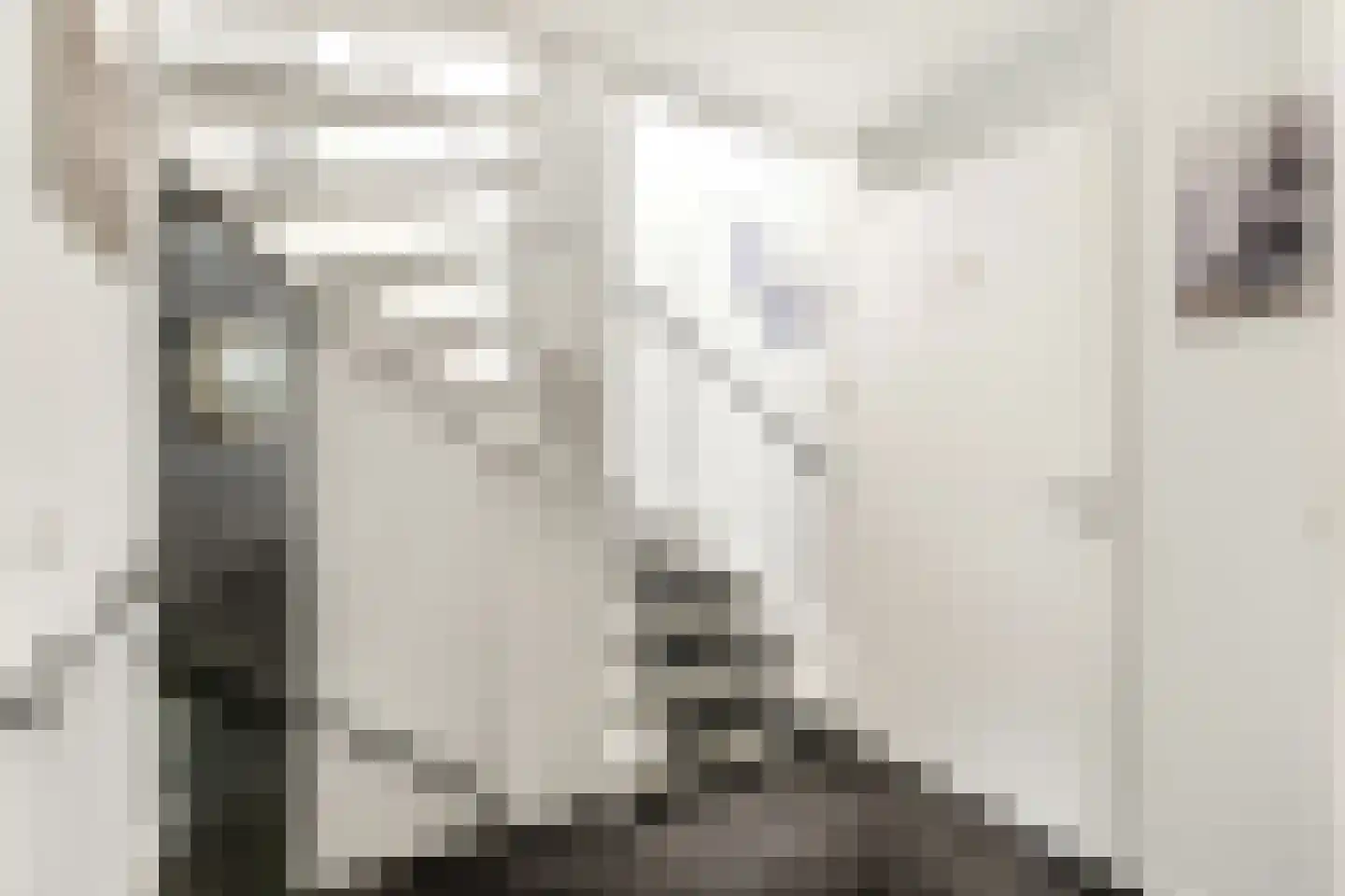 Kotter 26 Nijkerk thumbnail 16