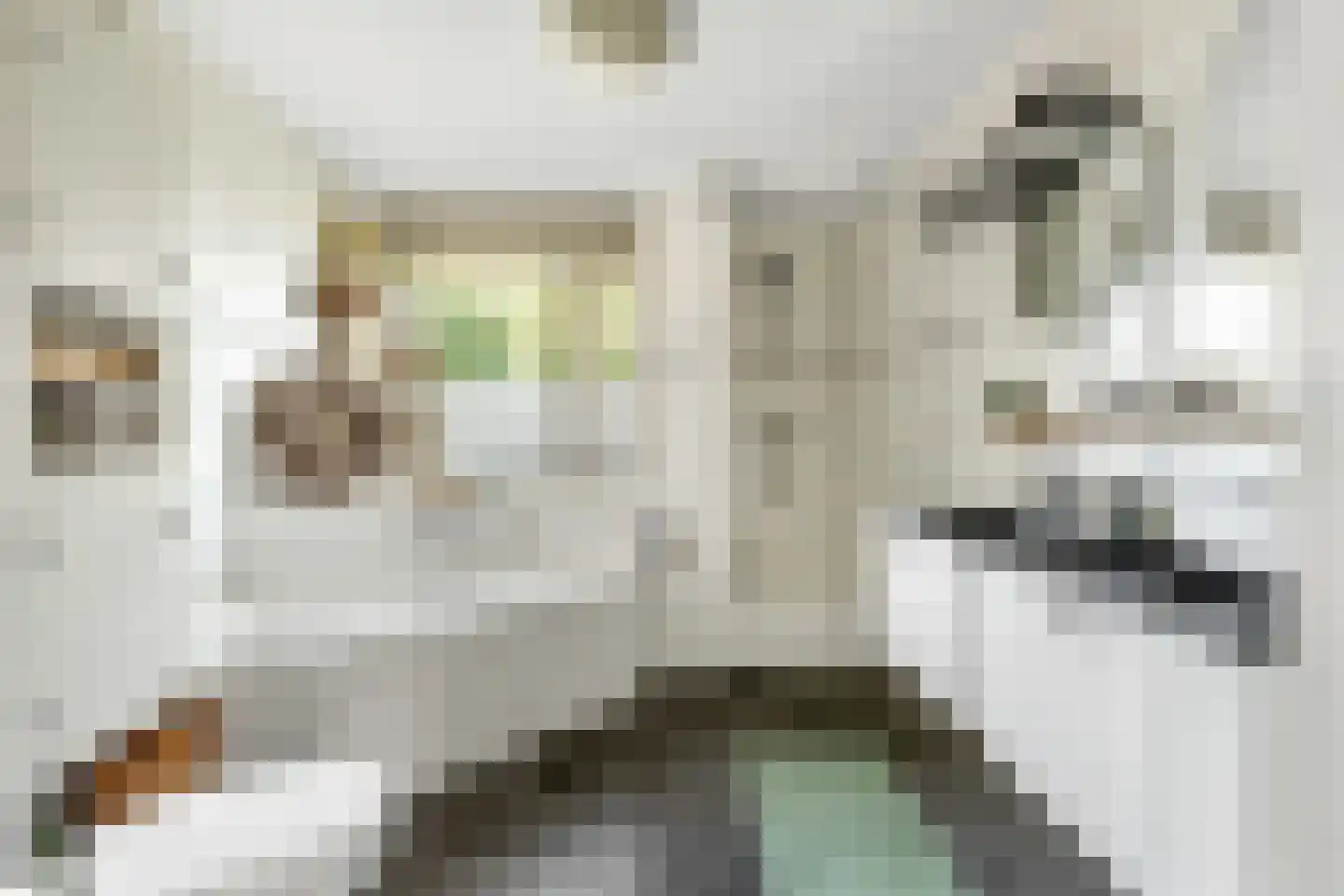 Kotter 26 Nijkerk thumbnail 22