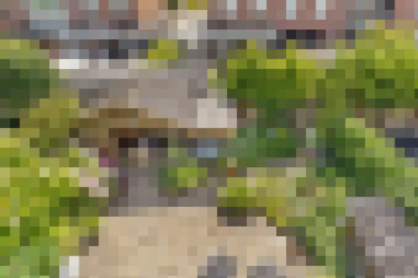 Kotter 26 Nijkerk thumbnail 28