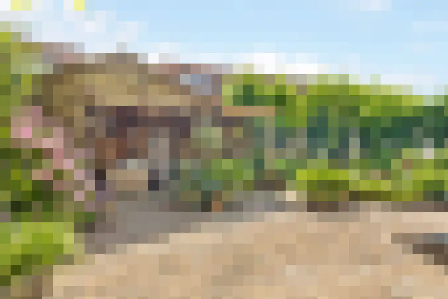Kotter 26 Nijkerk thumbnail 30