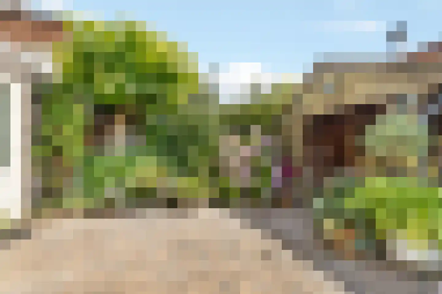 Kotter 26 Nijkerk thumbnail 33