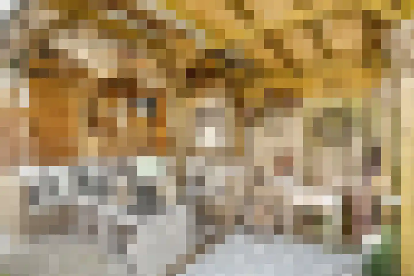 Kotter 26 Nijkerk thumbnail 34