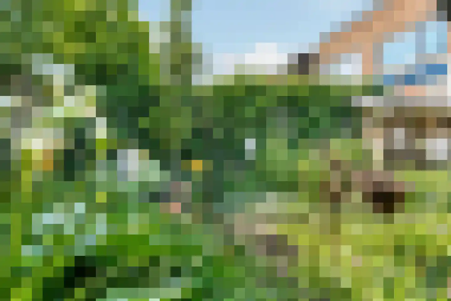 Kotter 26 Nijkerk thumbnail 35