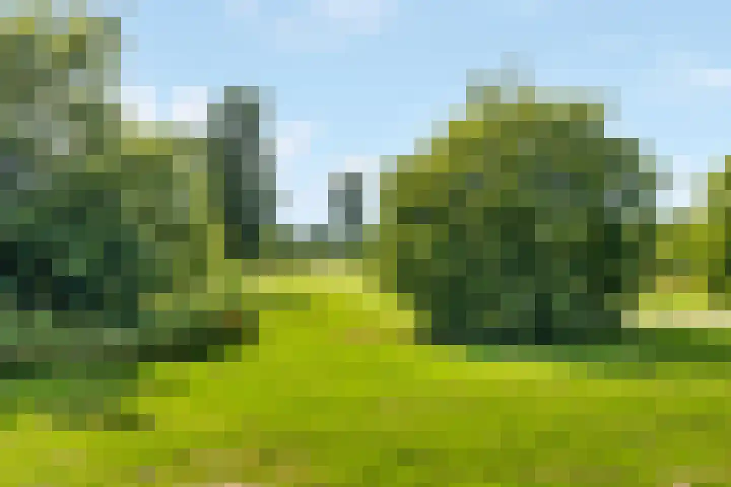 Kotter 26 Nijkerk thumbnail 39