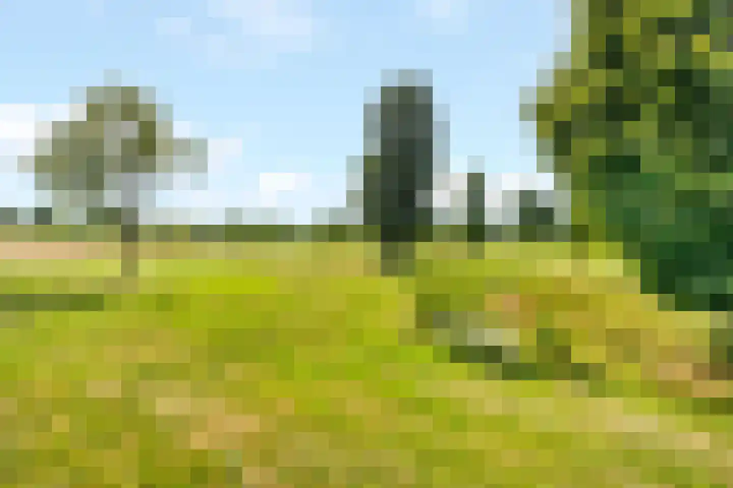 Kotter 26 Nijkerk thumbnail 40