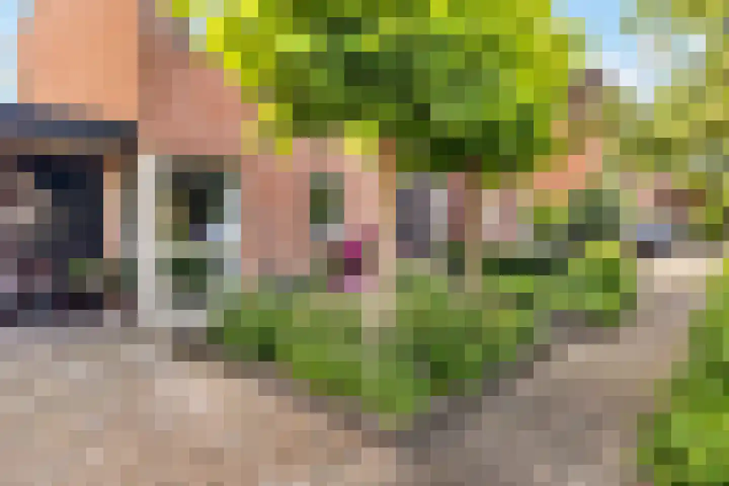Kotter 26 Nijkerk thumbnail 6